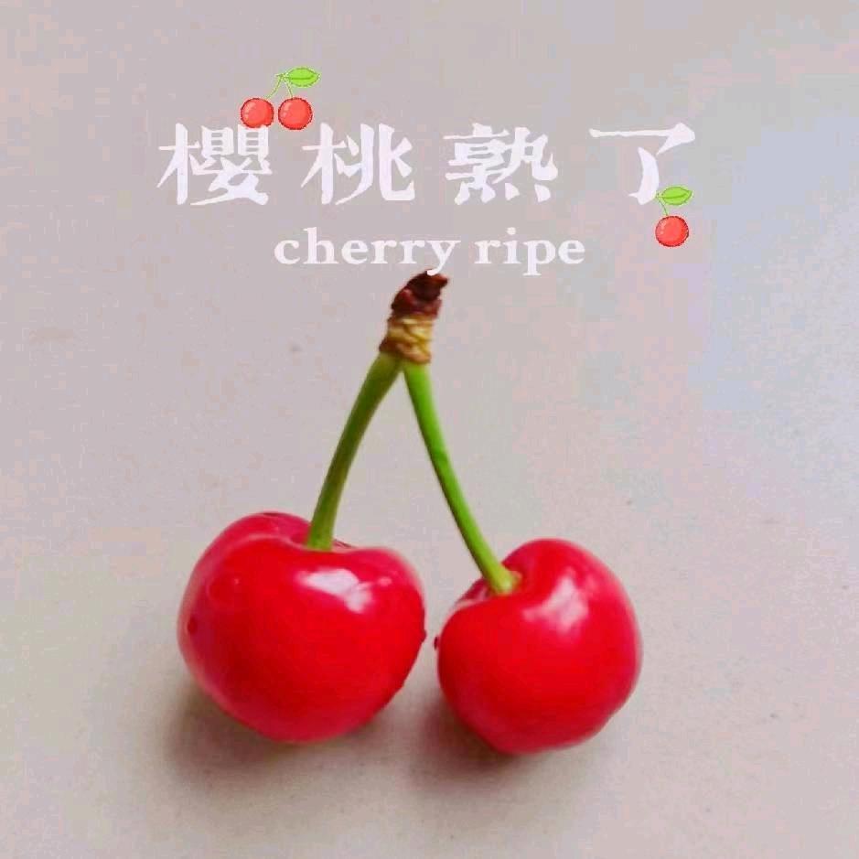 社会你红姐