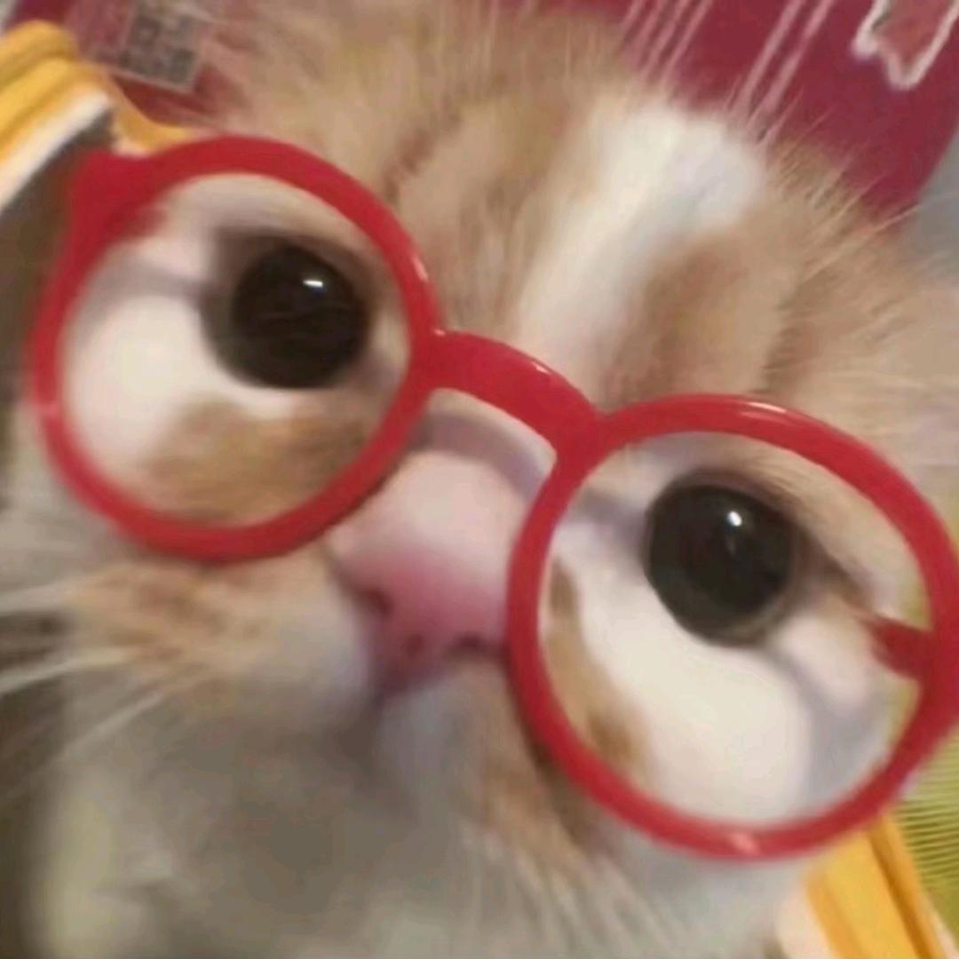 小᳐雅大王᳐੭ﾞ