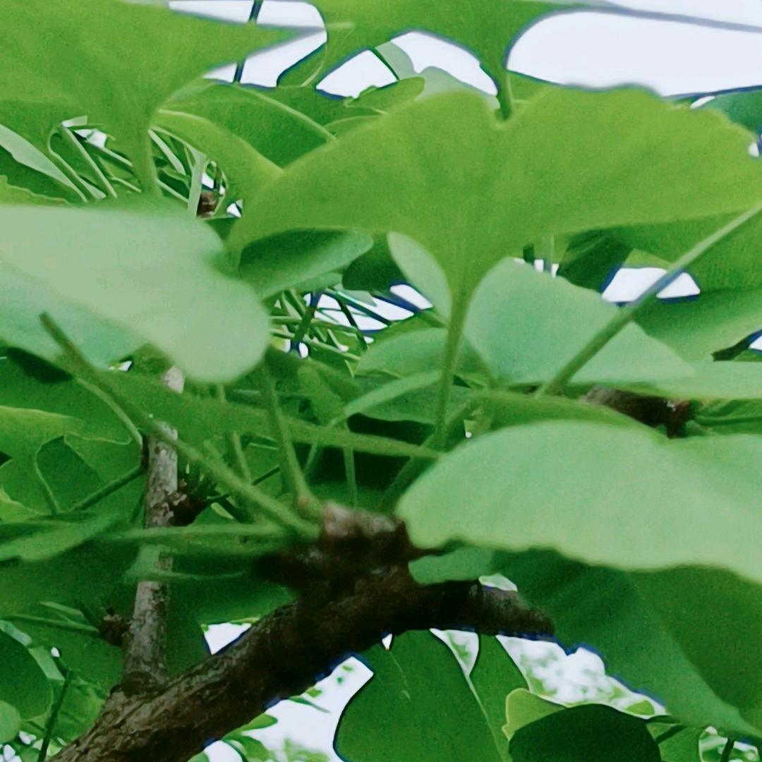 开心过好每一天