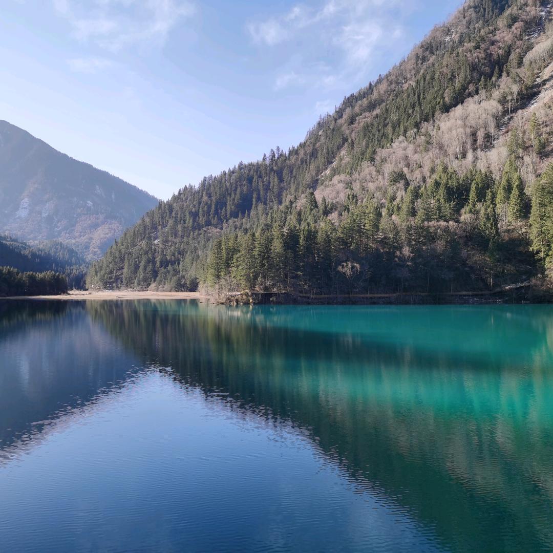 @柠檬草