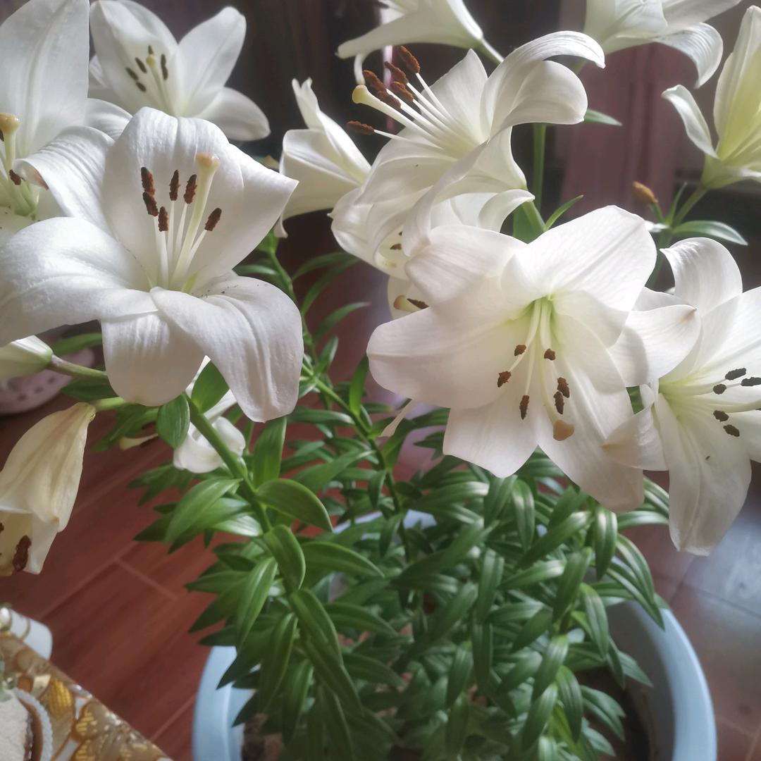 幸福的一家人2023🐰🐰🐰🐰🐰