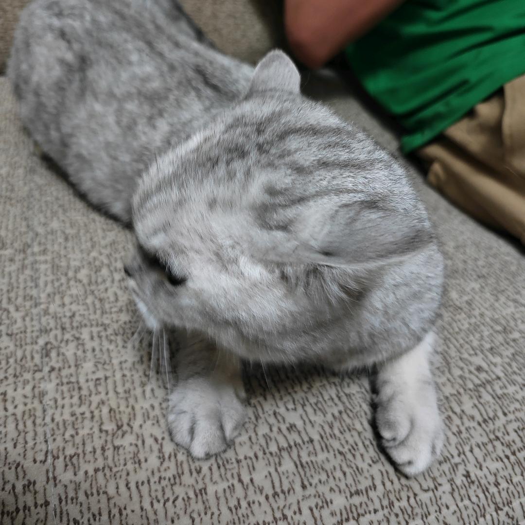 一起看雪