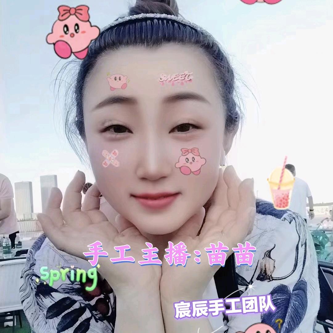 苗苗手工 (宸)