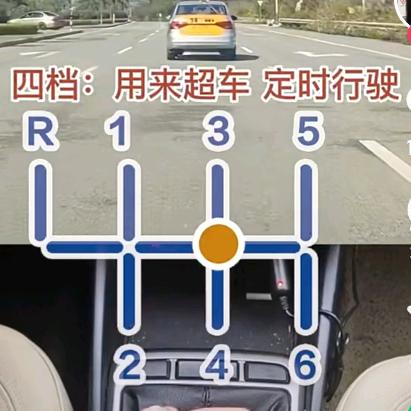 ꧁天鹅之梦꧂