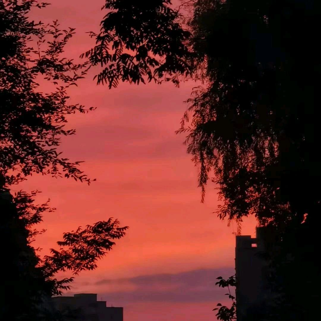 沈清气爽