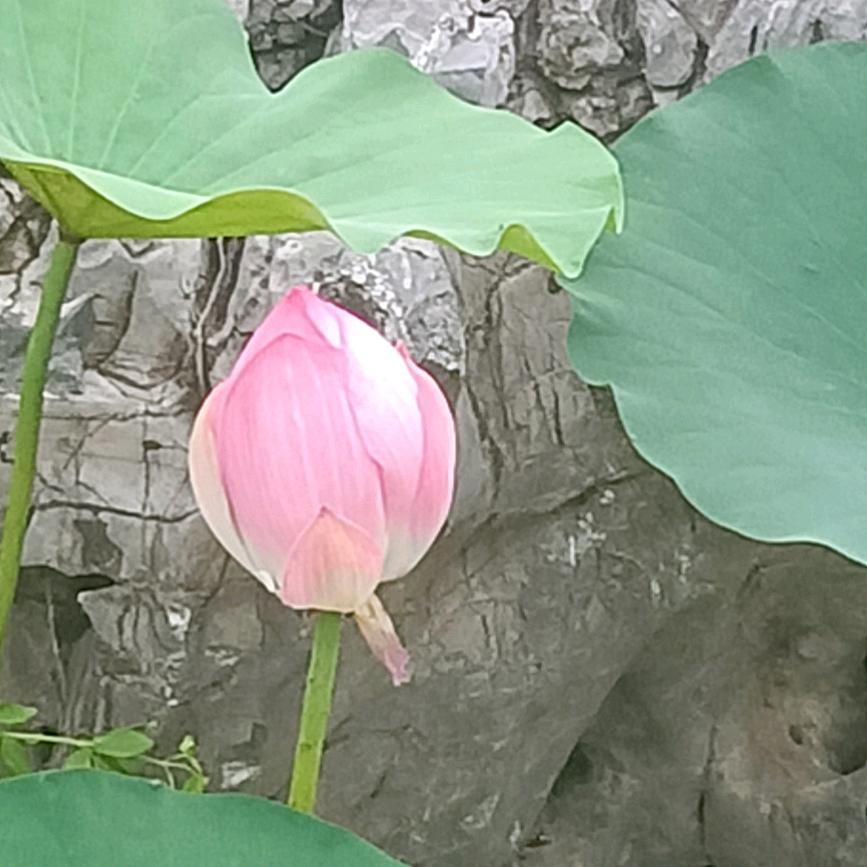 余生爱自己
