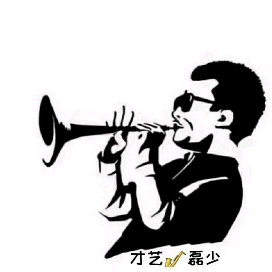 磊少