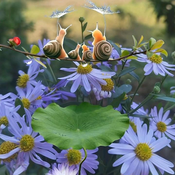莉