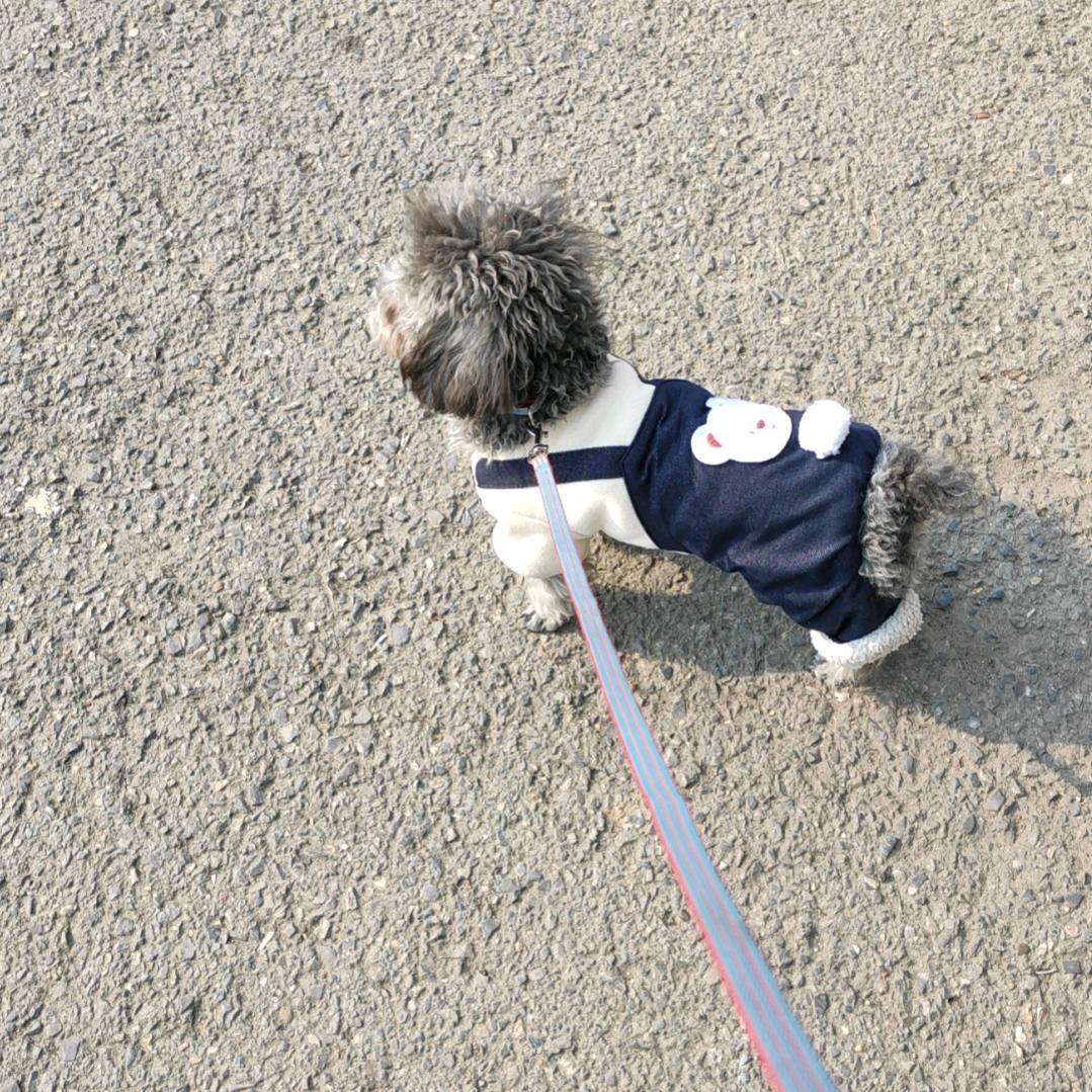 子涵