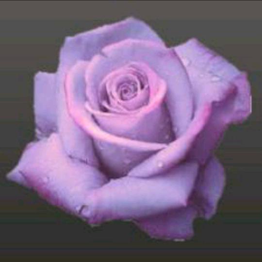 沉默是金，拒私聊