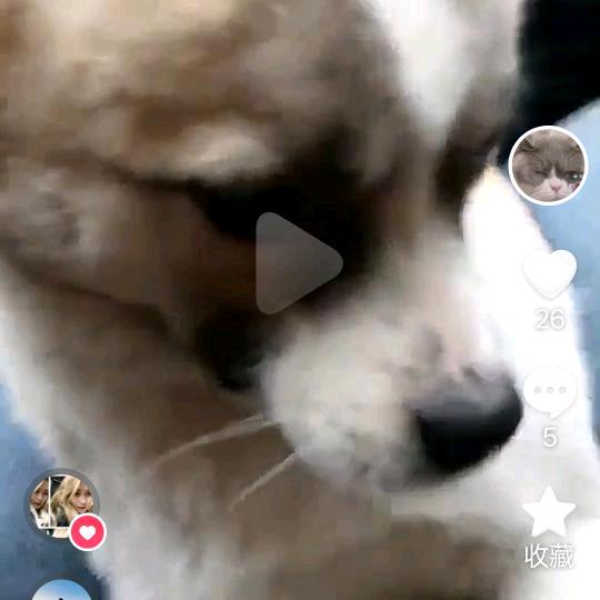 无缘无悔是花心大萝卜