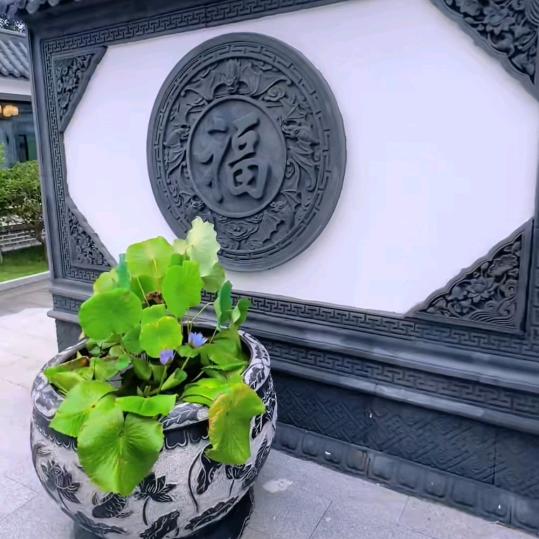 申不由己