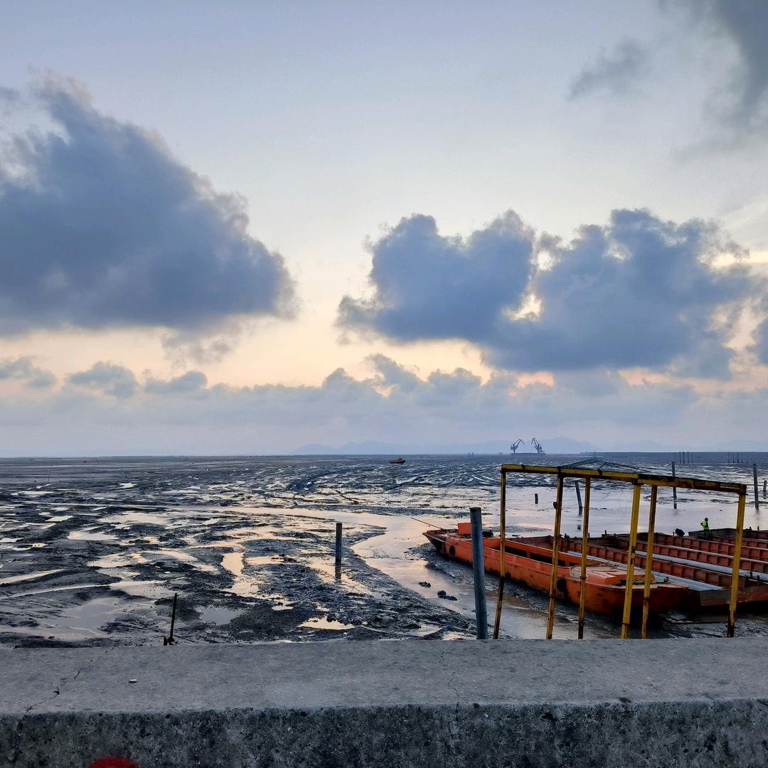 海鲜鲜