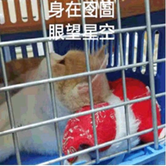 2021811头像
