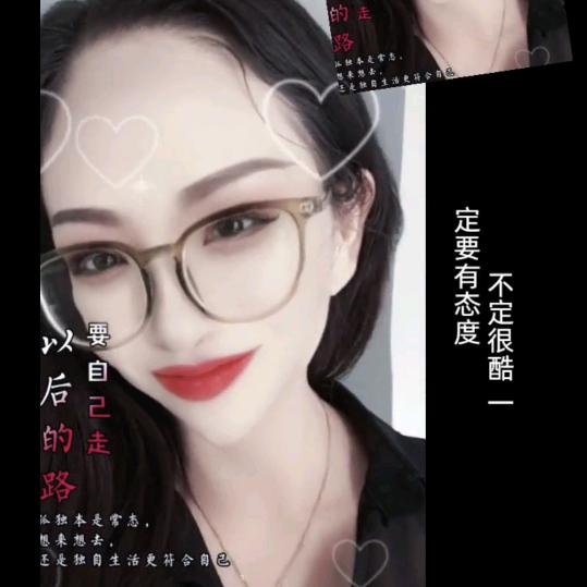 慵懒的猫🐱