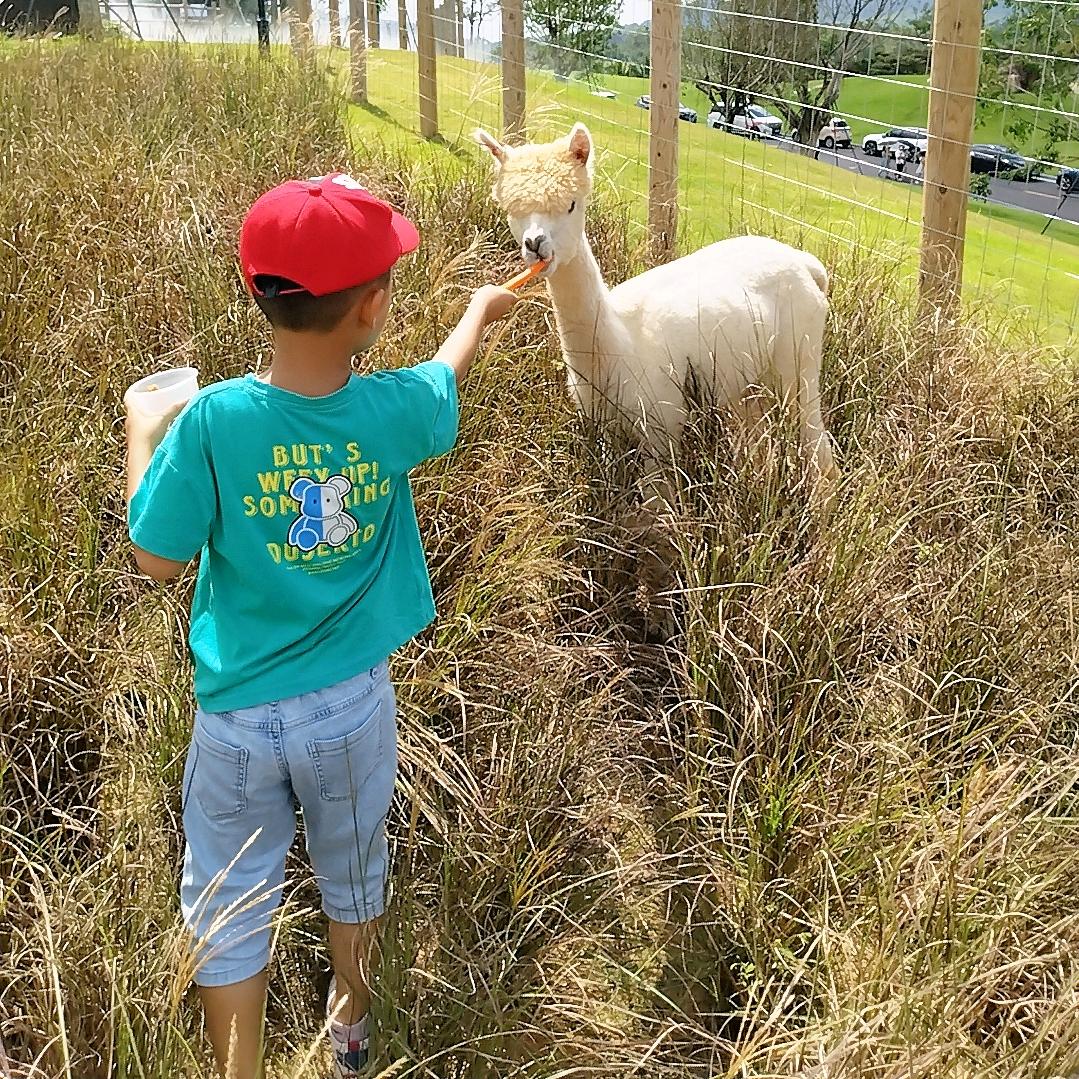 天道酬勤@