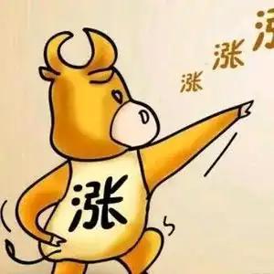 菊长说财