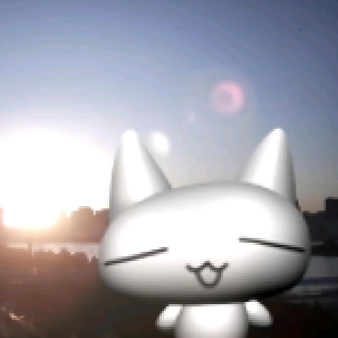 苏不正