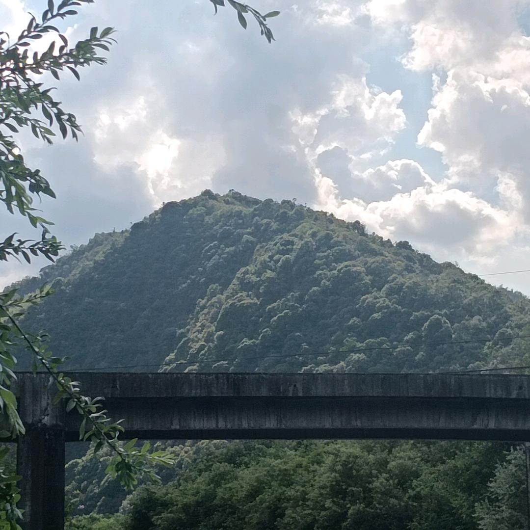 晴