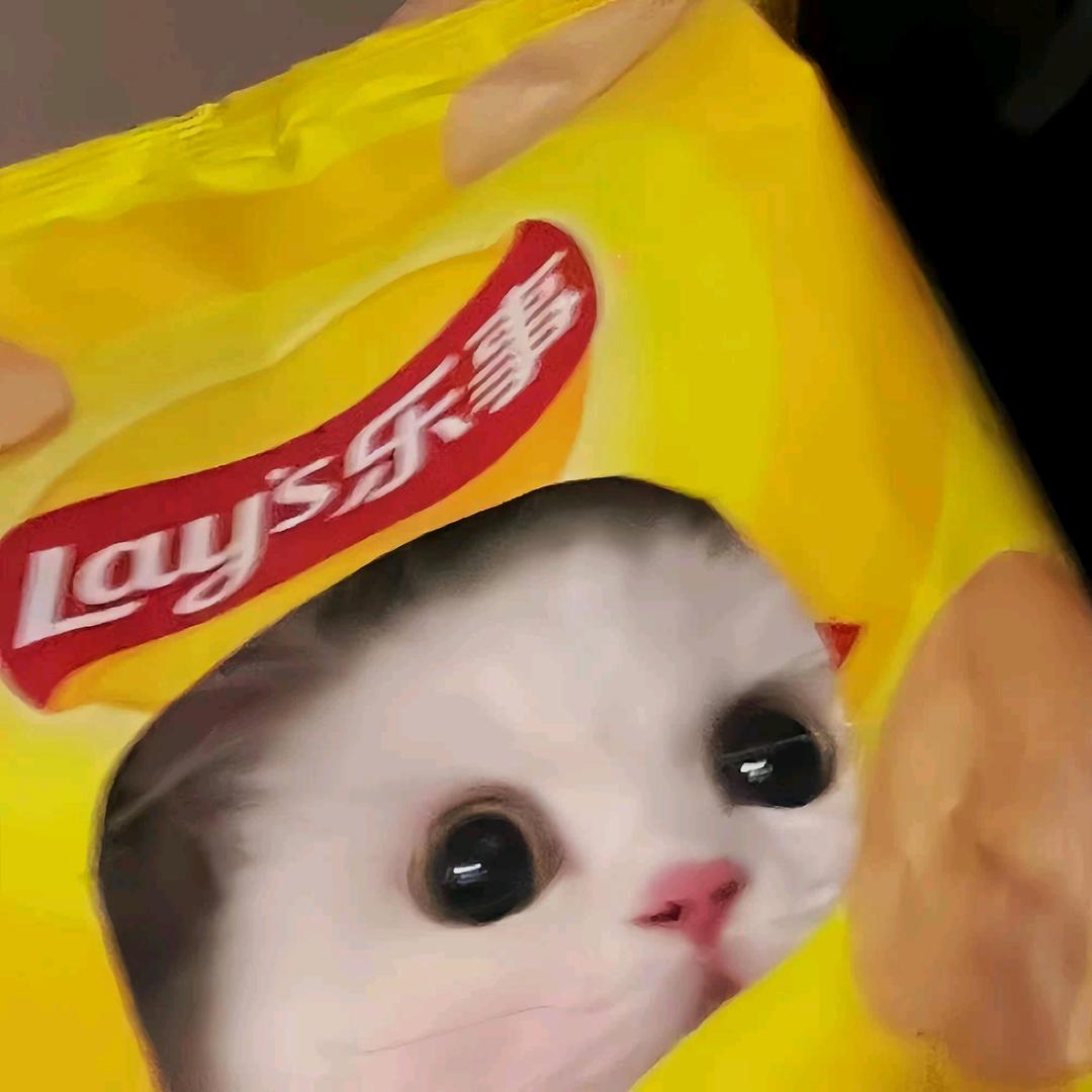 陈天睡不醒