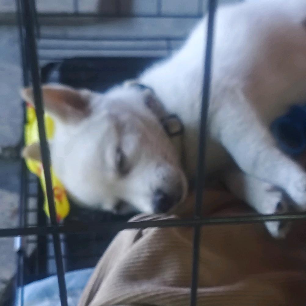 小小发财成长记