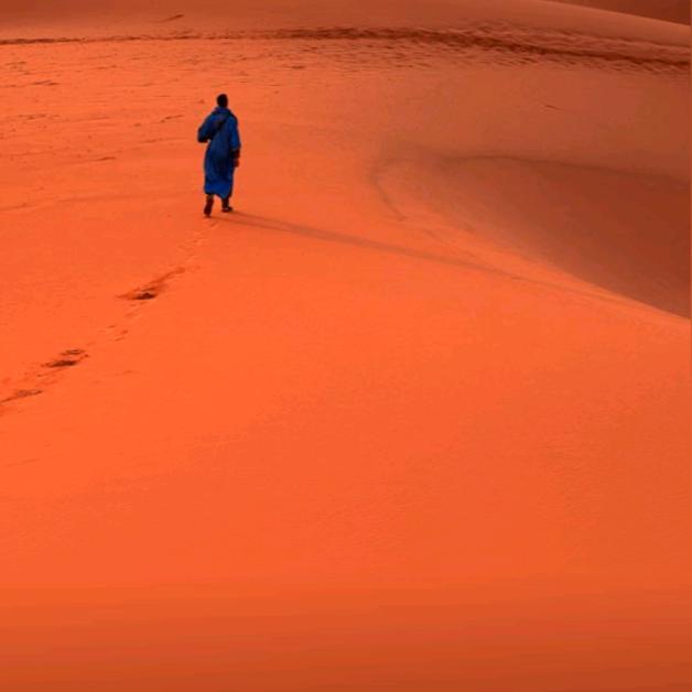 远东天花《广州穗平建材有限公司》钟南海