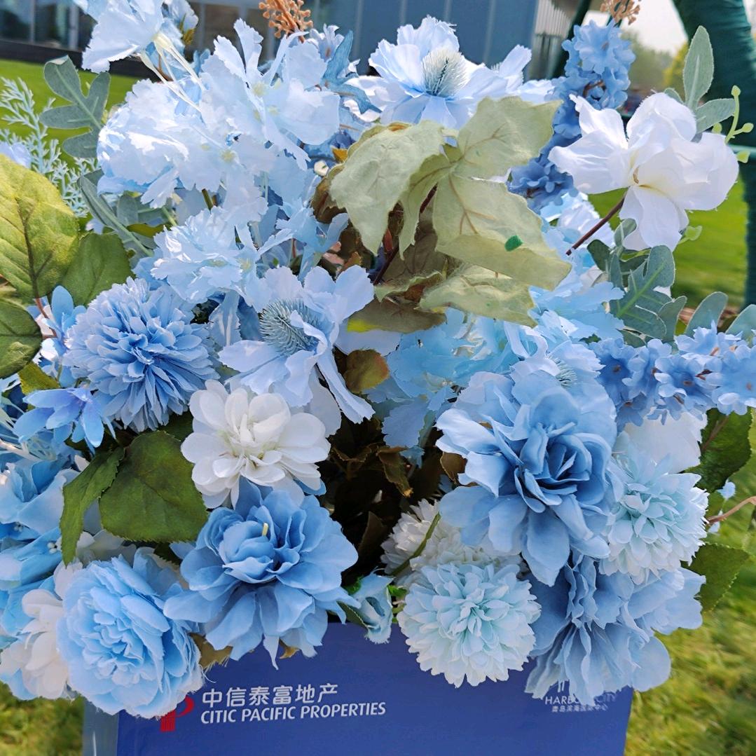 馨月