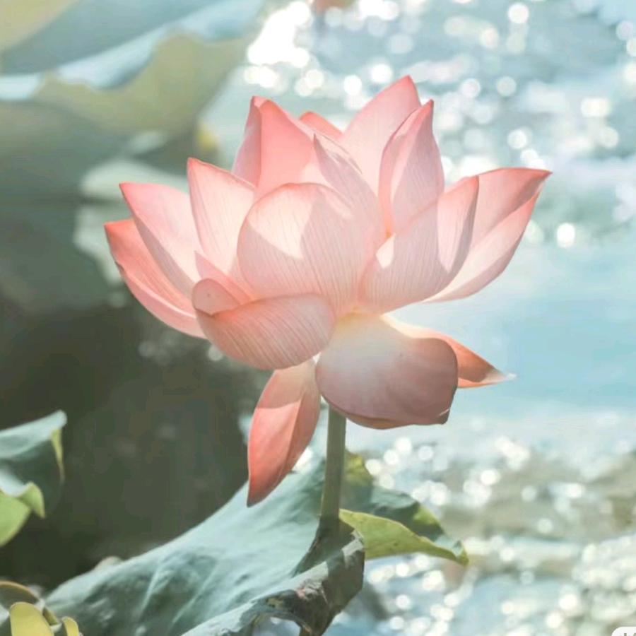 友谊服装诚夏周周