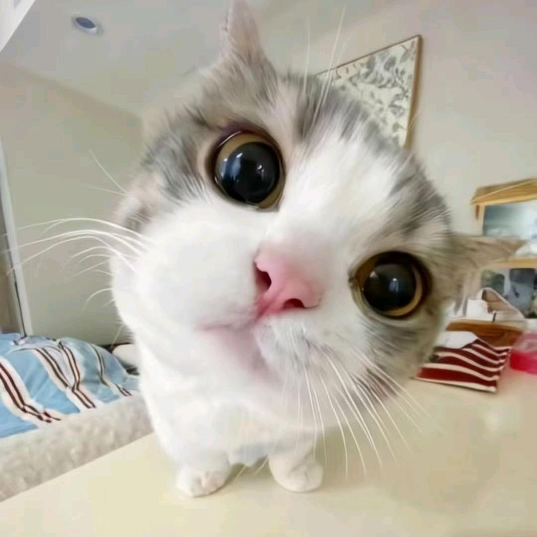 余生☜请多指教🐾