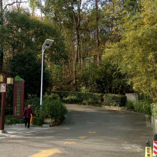 青苹果