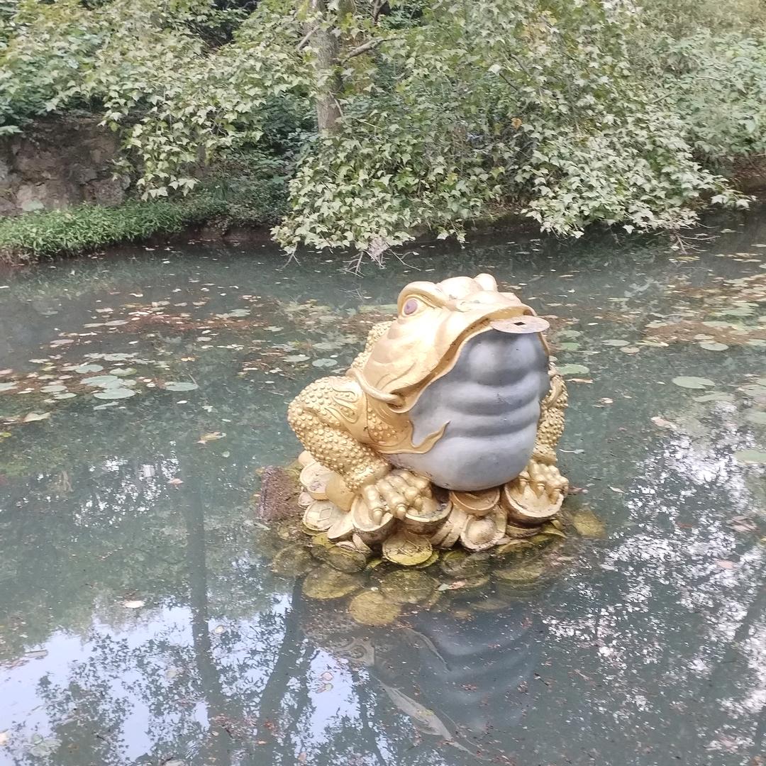 财源滚滚来