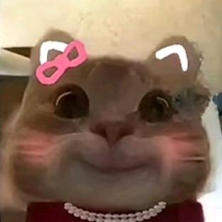 鱼有七秒情（明日之后）