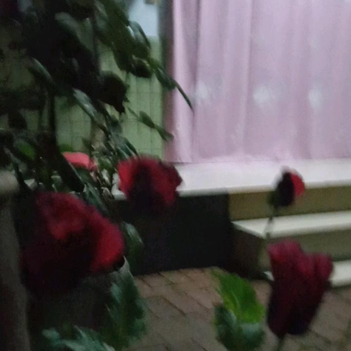 快乐的一生