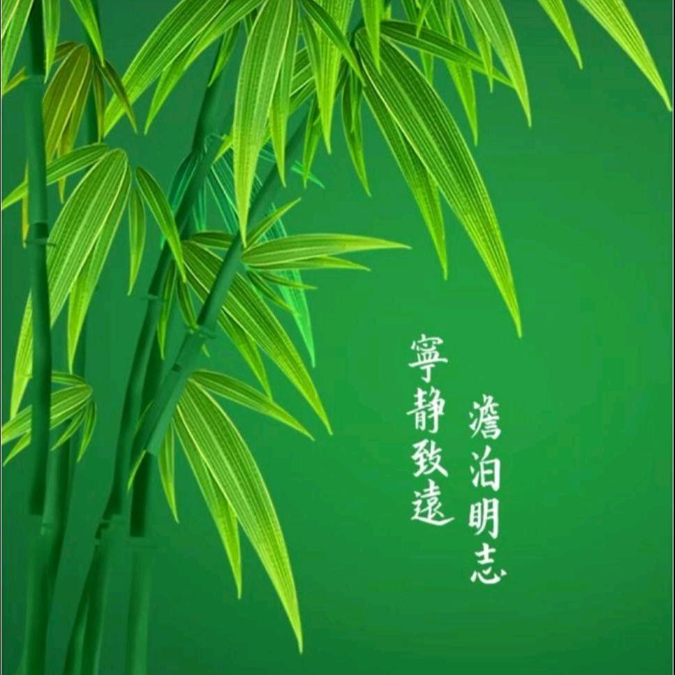 忽有故人心上过