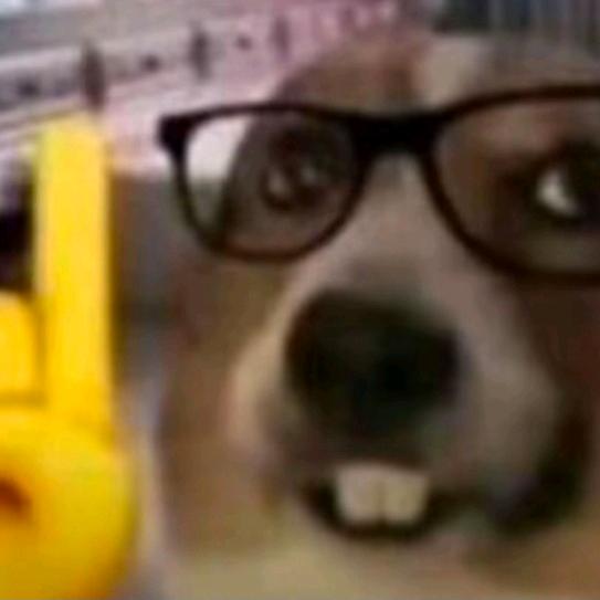 『啊虫不玩火影』