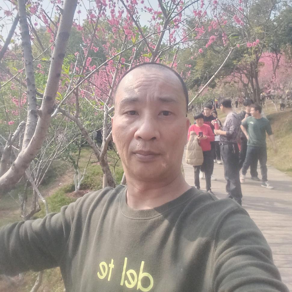 一生如梦