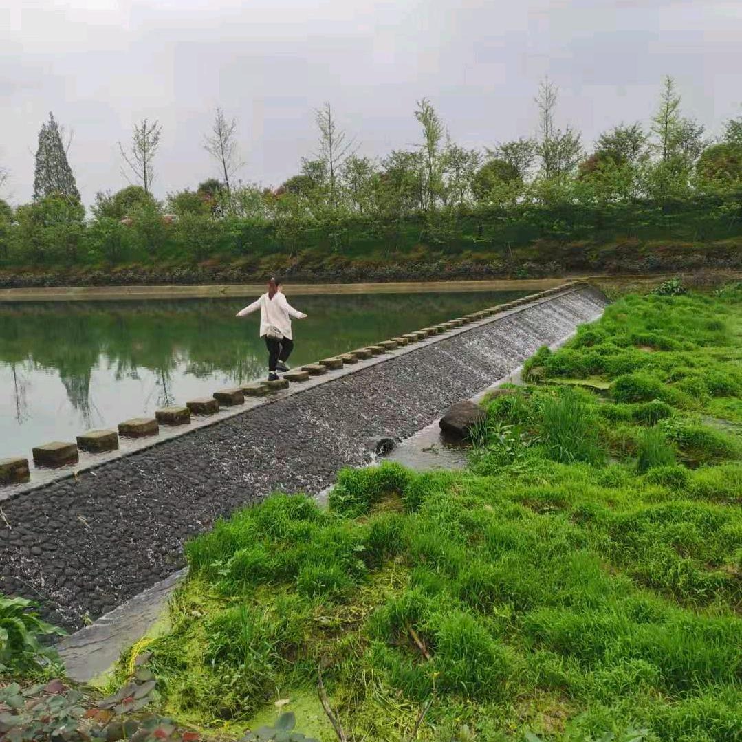 保持沉默