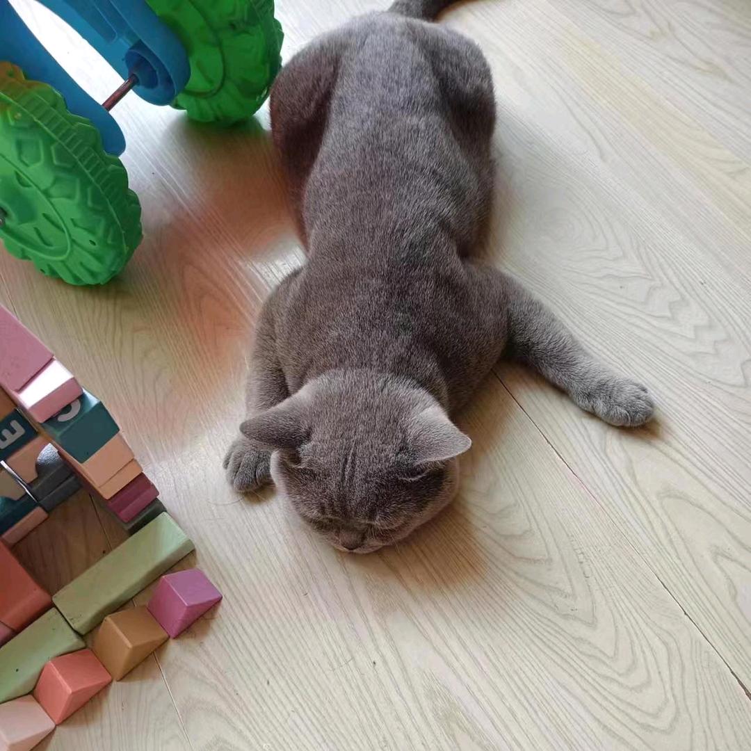快乐每一天