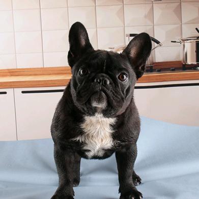 佛罗里达州副书记