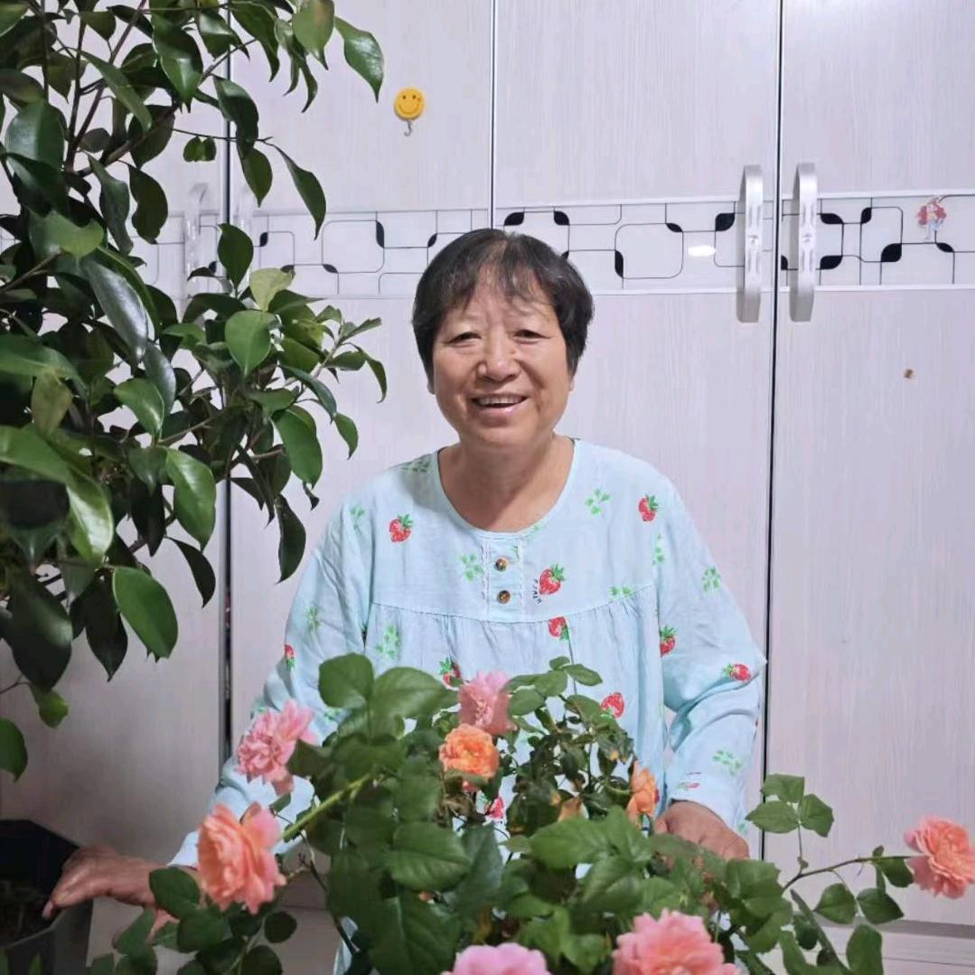 英舞飞扬
