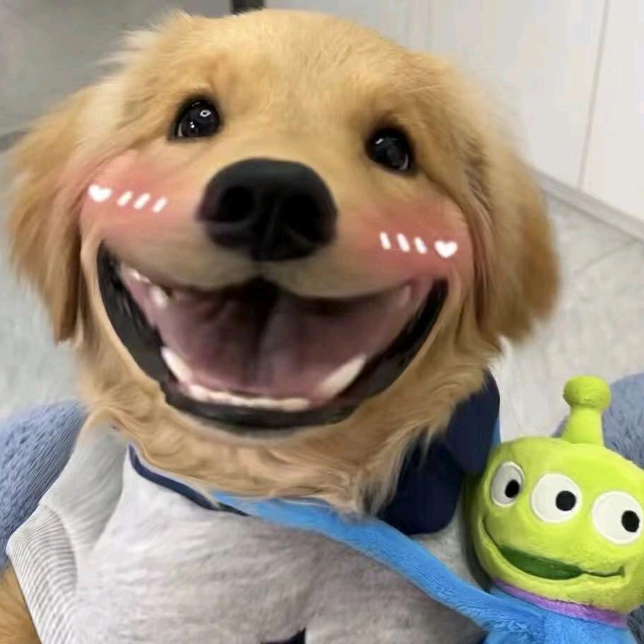 梧桐樹