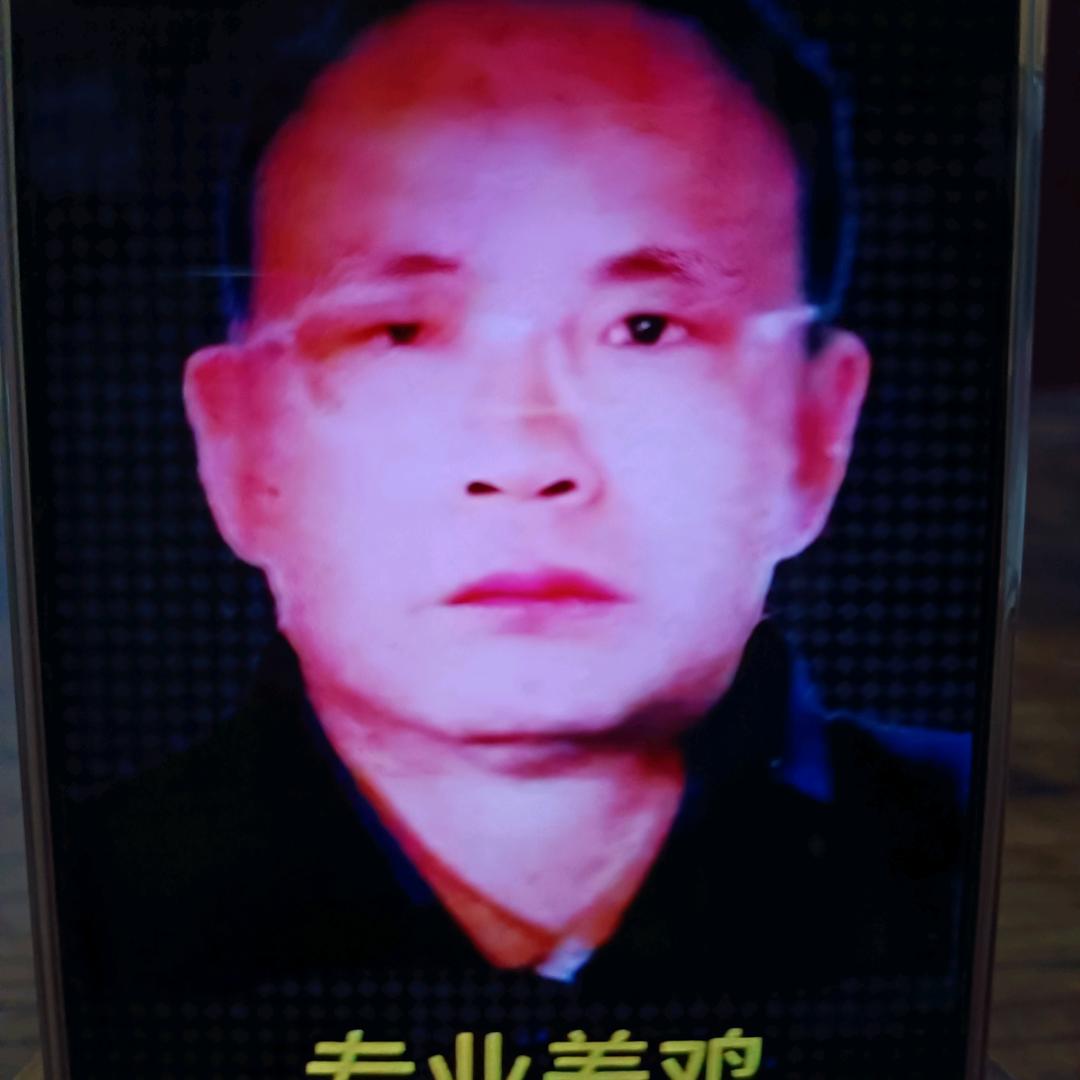 专业养鸡