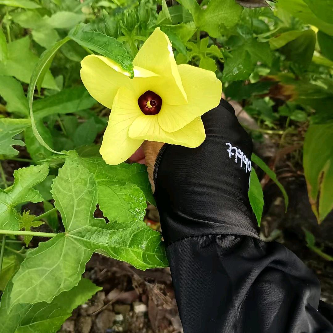 草包