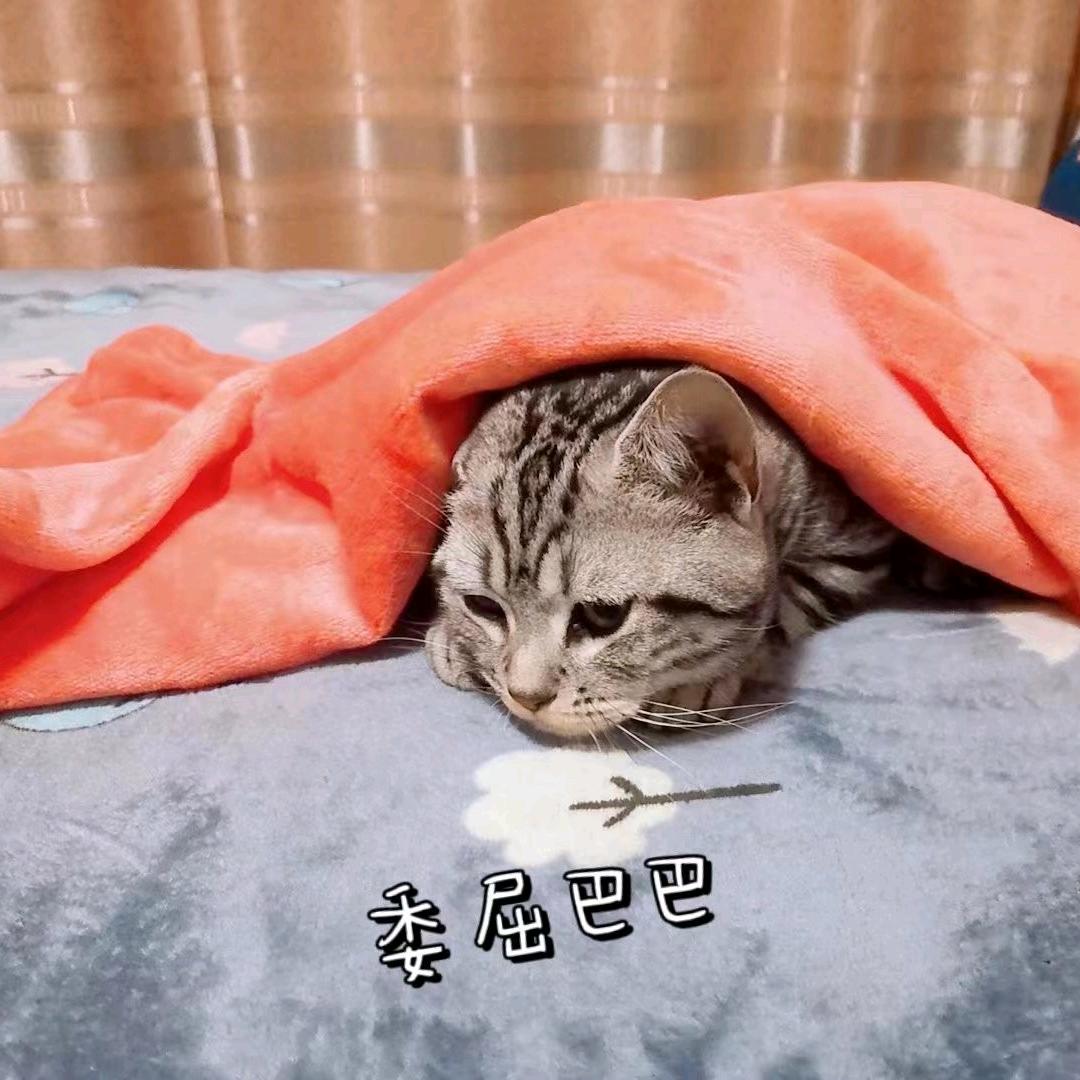 小十三～郭