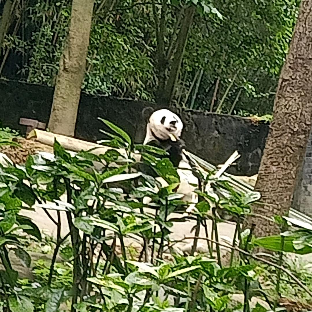 婷婷🎤（学习中）
