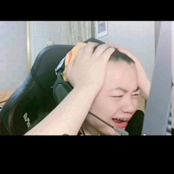 绿豆（红豆版）