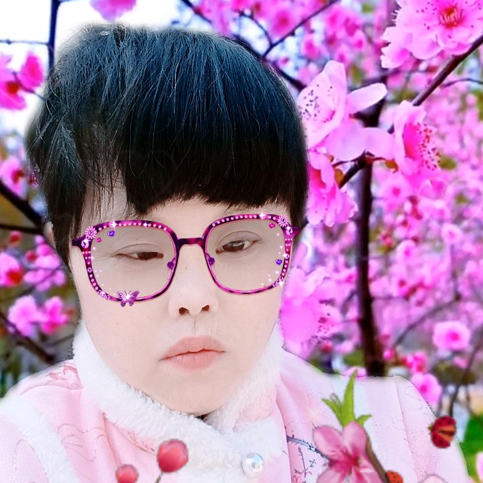 刘雪莲19711196373