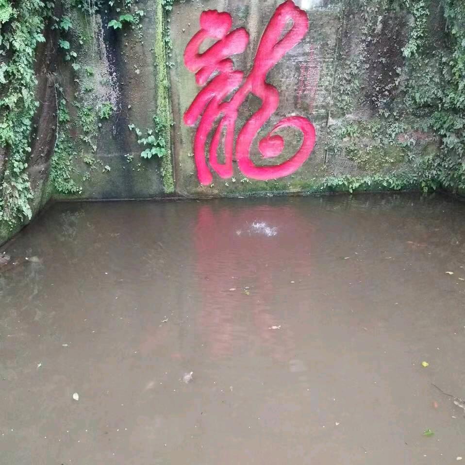 谢绍银