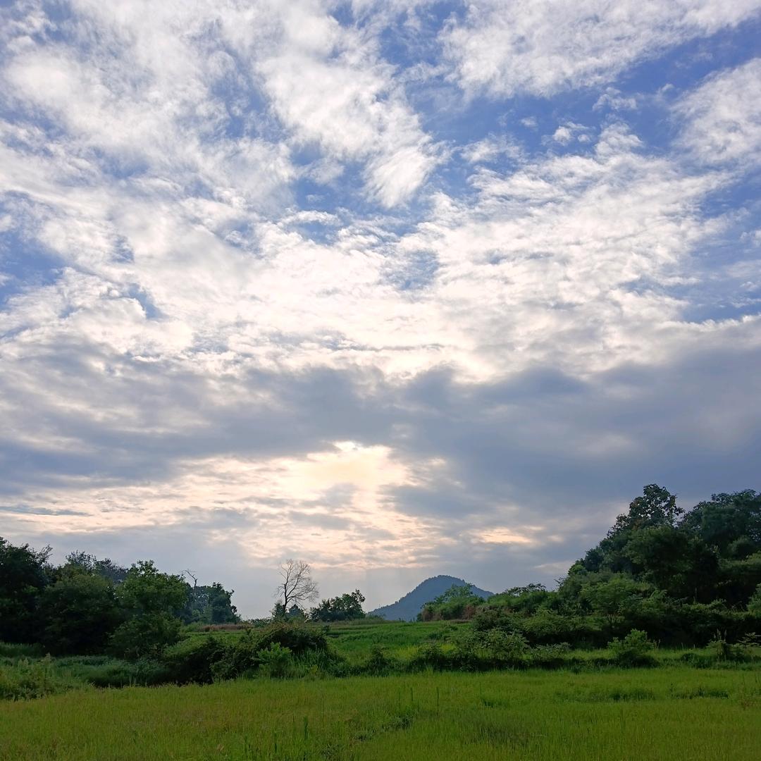 穷开心【欧阳欣】