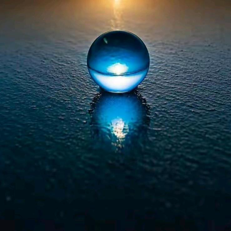 久居深海